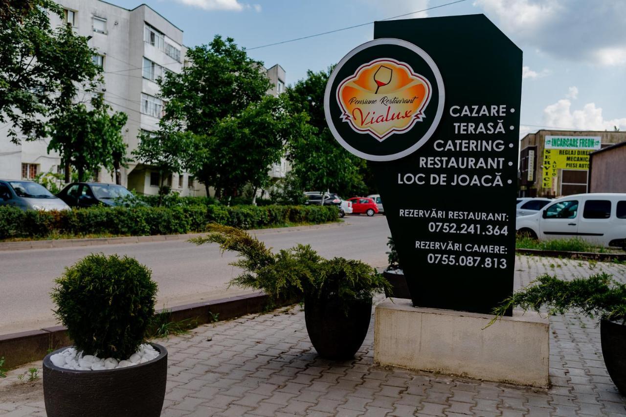 Pensiunea Vialux Бакэу Экстерьер фото
